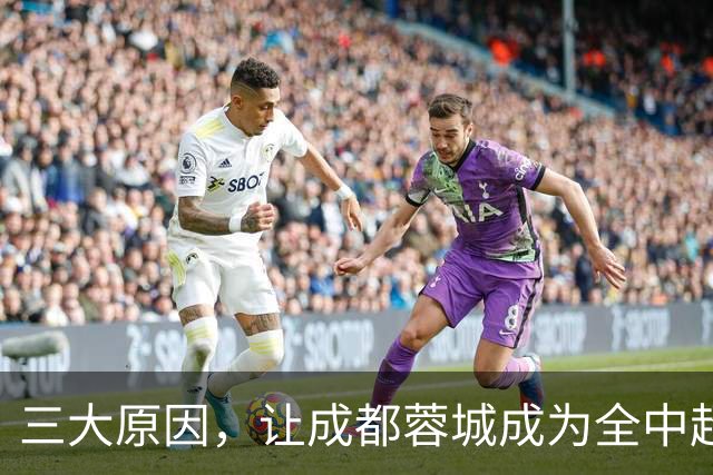 三大原因，让成都蓉城成为全中超公敌，球迷不愿看到他们夺冠