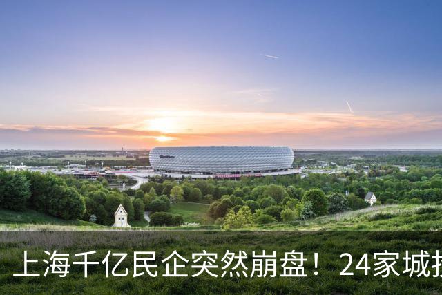 上海千亿民企突然崩盘！24家城投集体踩雷？老板一家早跑路东京？