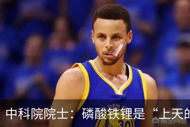 中科院院士：磷酸铁锂是“上天的礼物”，现在电车很好不必等固态