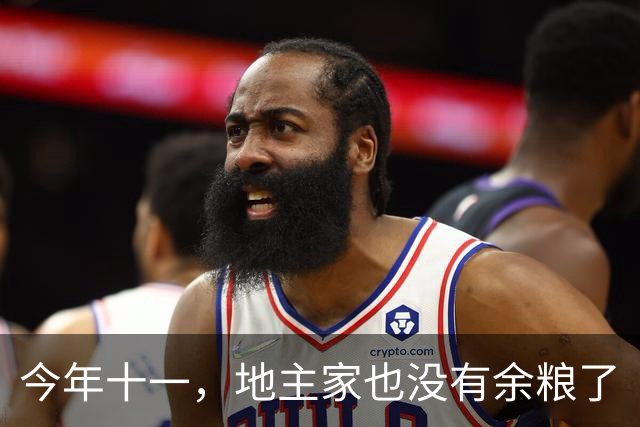 今年十一，地主家也没有余粮了