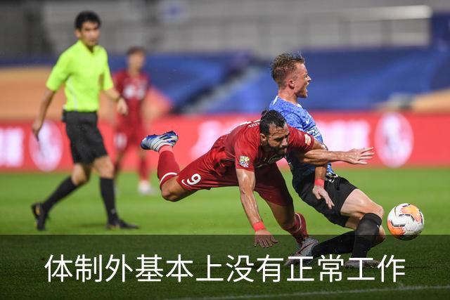 体制外基本上没有正常工作