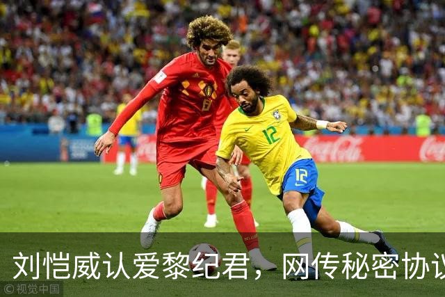 刘恺威认爱黎纪君，网传秘密协议「再婚女儿无条件交回杨幂」，刘丹罕回应