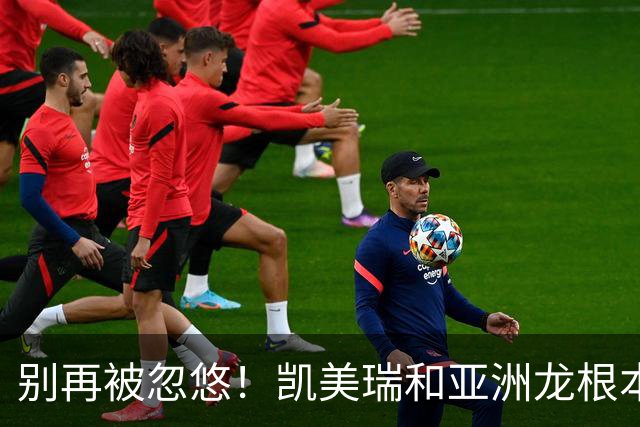 别再被忽悠！凯美瑞和亚洲龙根本不是换壳车，选错真的亏大了