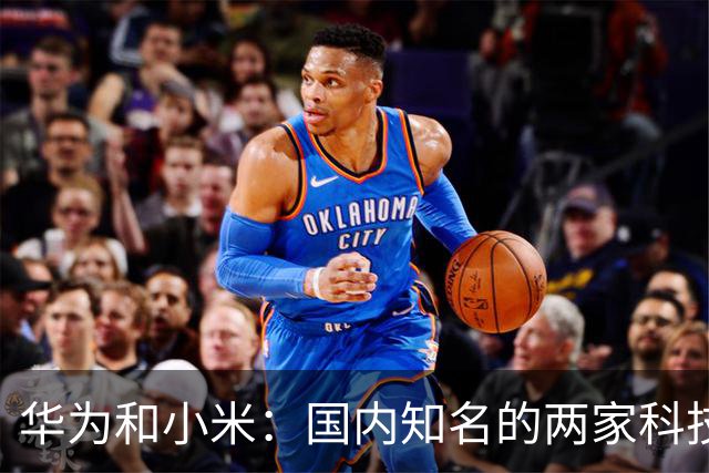 华为和小米：国内知名的两家科技公司，从产品端到粉丝端，良性竞争演变为对立攻击，互联网时代的超级饭圈文化（上）