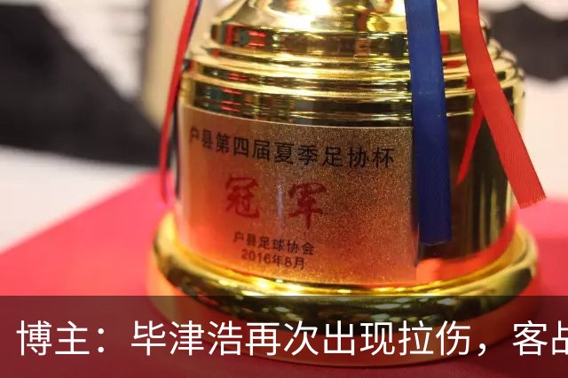 博主：毕津浩再次出现拉伤，客战成都宋岳有望出任首发
