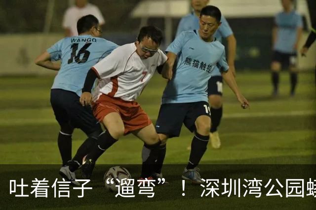 吐着信子“遛弯”！深圳湾公园蟒蛇爆红全网，工作人员回应亮了