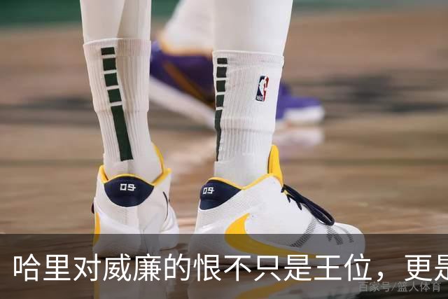 哈里对威廉的恨不只是王位，更是威廉那张越来越像戴安娜的脸！