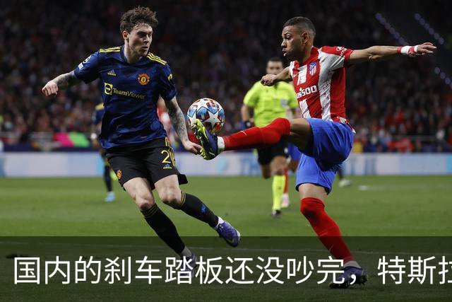 国内的刹车踏板还没吵完，特斯拉已经飞上天了！