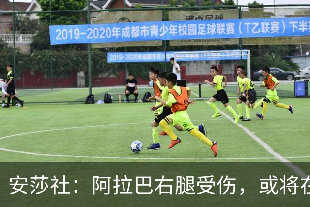 安莎社：阿拉巴右腿受伤，或将在11月22日对阵博洛尼亚时复出