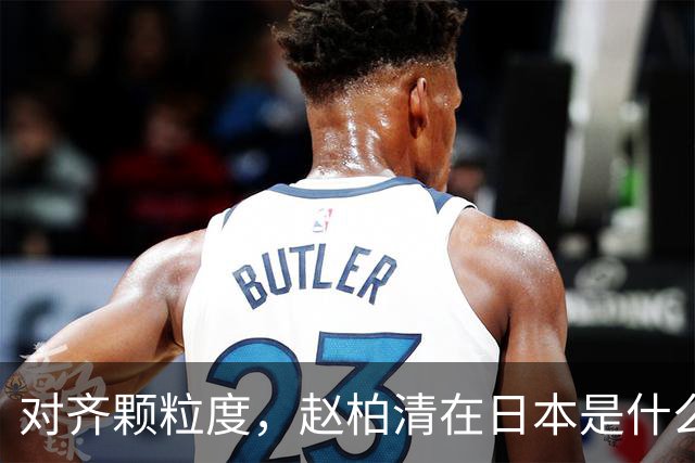 对齐颗粒度，赵柏清在日本是什么水平？