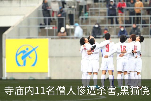 寺庙内11名僧人惨遭杀害,黑猫侥幸存活,警方赶到后它叼来一把钥匙