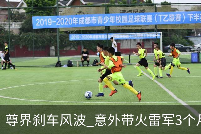尊界刹车风波 意外带火雷军3个月前视频，网友神评