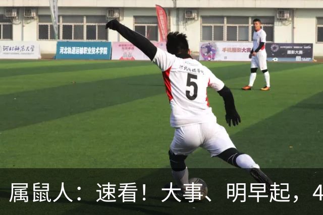 属鼠人：速看！大事、明早起，4件大事齐齐降临！