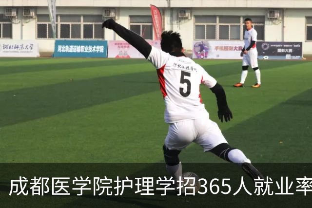 成都医学院护理学招365人就业率96%，2026扩100人却缩省外，核心专业在换血吗