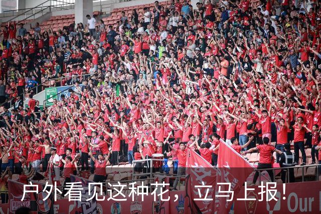 户外看见这种花，立马上报！