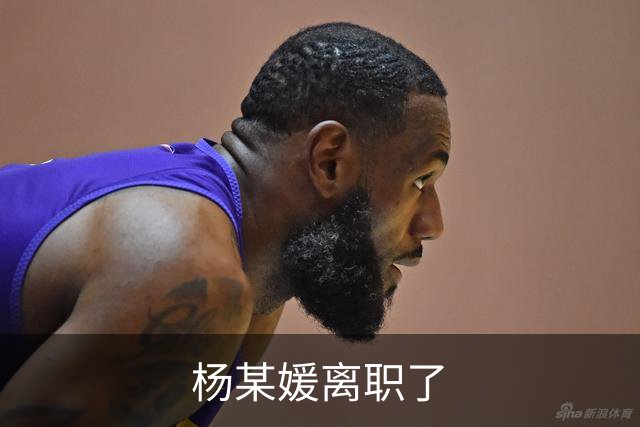 杨某媛离职了