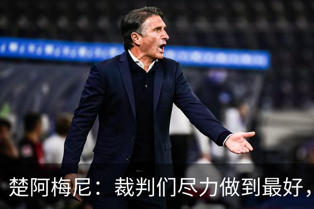 楚阿梅尼：裁判们尽力做到最好，但我们对判罚非常失望