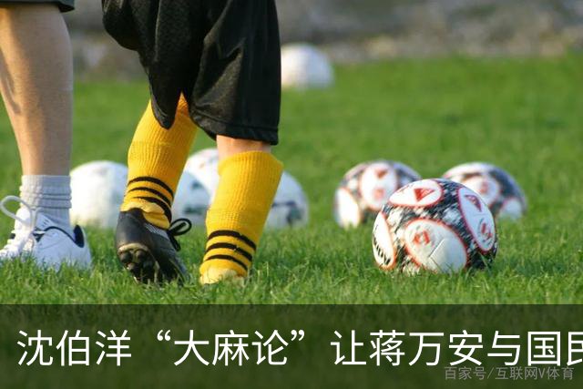 沈伯洋“大麻论”让蒋万安与国民党终于可以松口气了