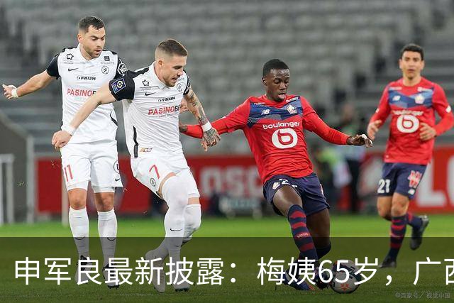 申军良最新披露：梅姨65岁，广西人！
