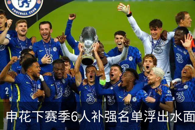 申花下赛季6人补强名单浮出水面，未来他们将挑大梁，值得期待