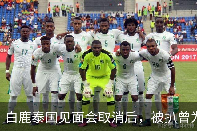 白鹿泰国见面会取消后，被扒曾为缅北拍宣传片，知情人爆更多内幕
