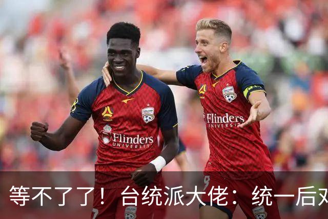 等不了了！台统派大佬：统一后对外防务，必须解放军接手！