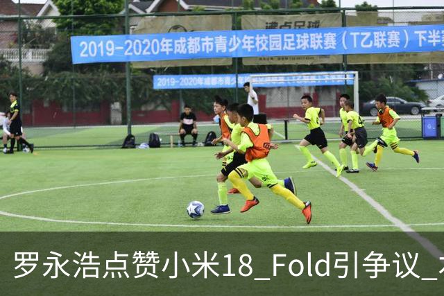 罗永浩点赞小米18 Fold引争议 本人回应