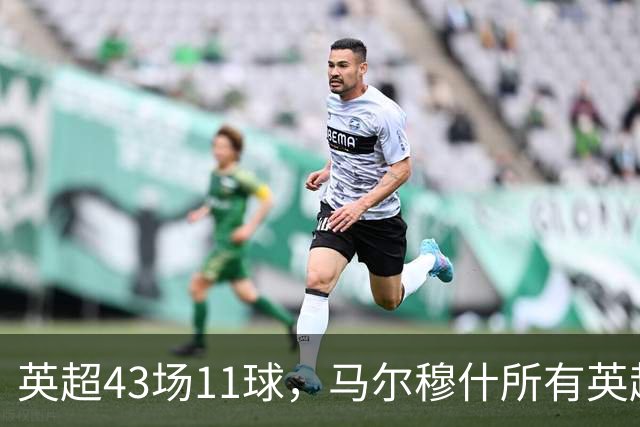 英超43场11球，马尔穆什所有英超进球都在主场打进