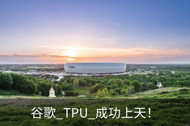 谷歌 TPU 成功上天！