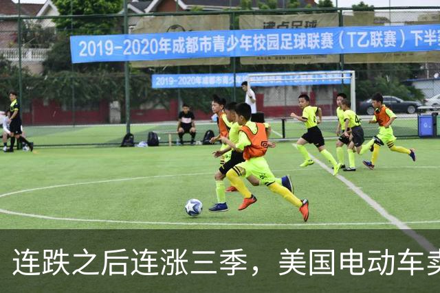 连跌之后连涨三季，美国电动车卖出6.1%份额