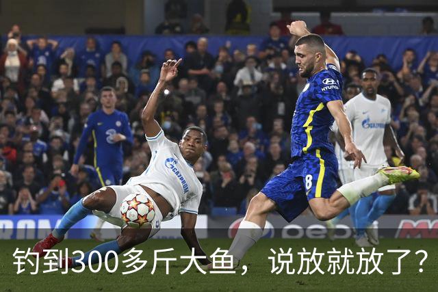 钓到300多斤大鱼，说放就放了？