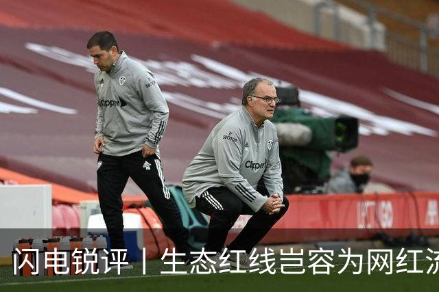 闪电锐评丨生态红线岂容为网红流量“开口子”