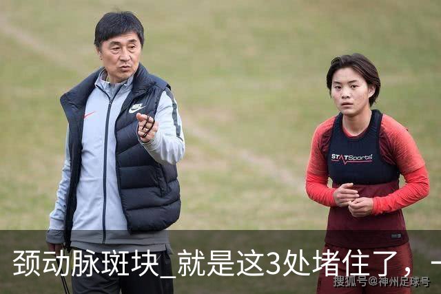 颈动脉斑块 就是这3处堵住了，一旦疏通头晕失眠乏力改善是很快的