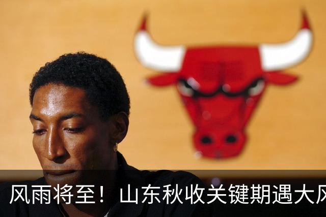 风雨将至！山东秋收关键期遇大风降雨，抢收工作刻不容缓