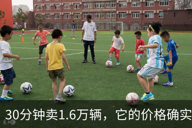 30分钟卖1.6万辆，它的价格确实到位了