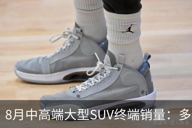 8月中高端大型SUV终端销量：多款车型下滑 雷克萨斯LX售出190辆